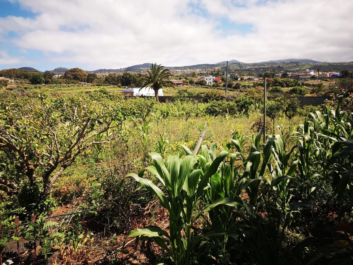 Casa Rural, Espectaculares Vistas Teide Wifi- Bbq Villa Tacoronte Bagian luar foto